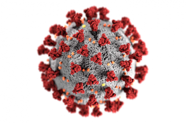 Coronavirus (COVID-19) outbreak: updated information and precautionary measures Coronavirus (COVID-19) outbreak: updated information and precautionary measures